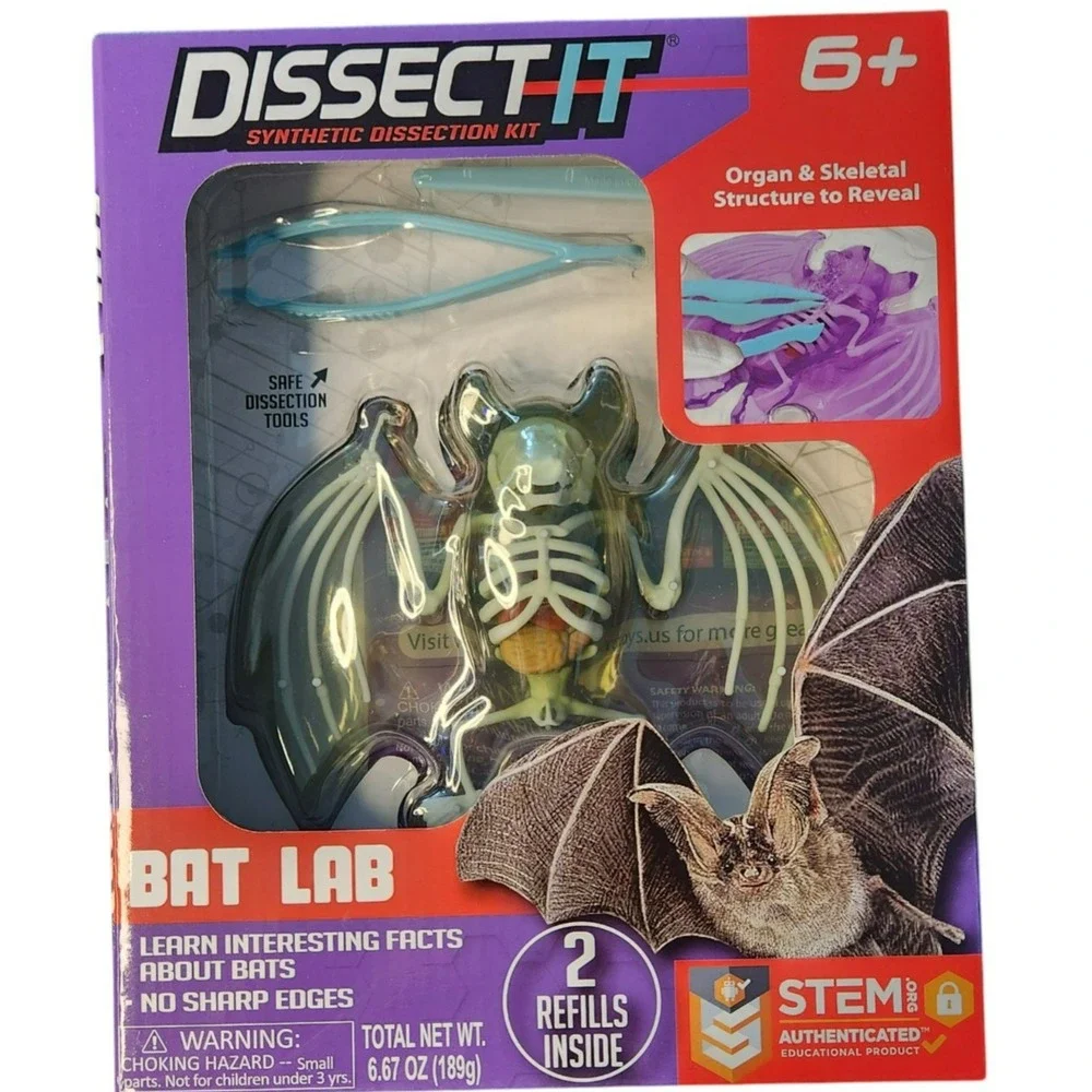 Dissect It Synthetic Dissection‎ Kit - Bat Lab